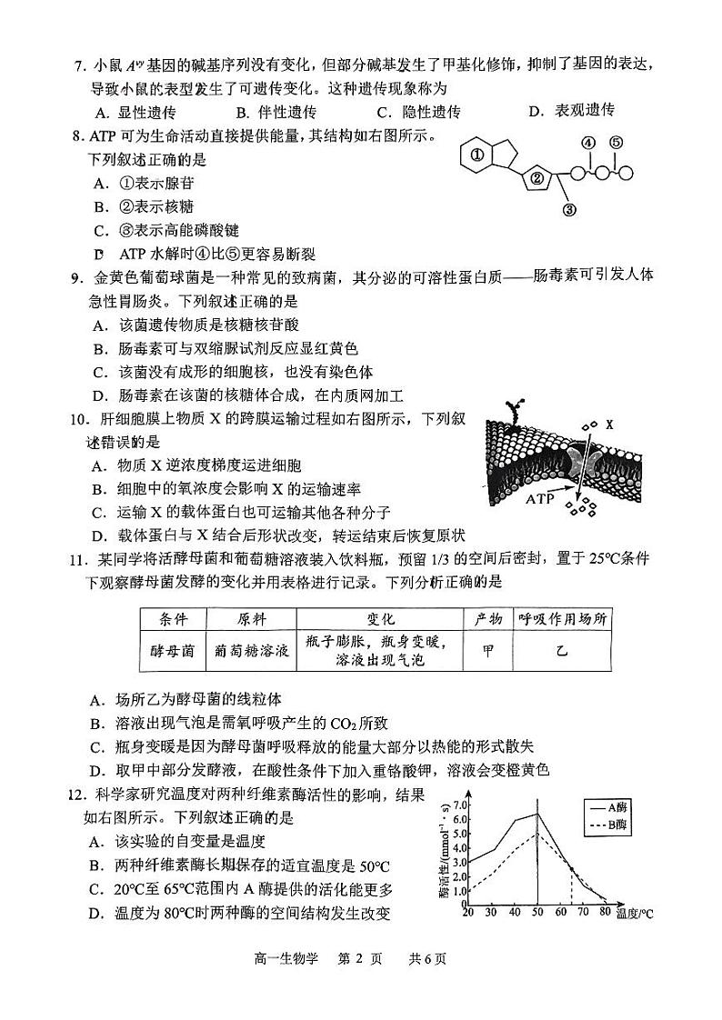 2023湖州高一下学期期末生物PDF版含答案 试卷02