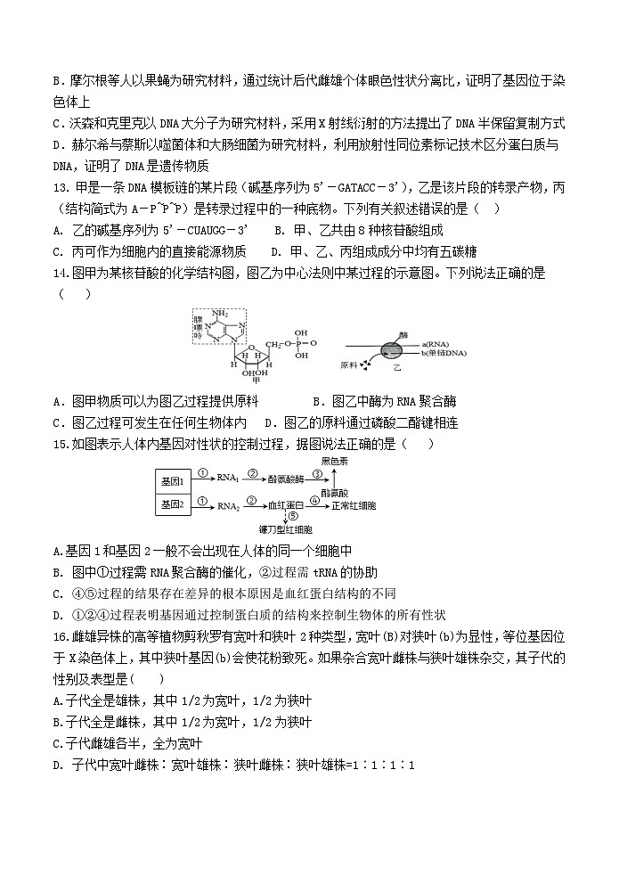 2023福建省德化一中、永安一中、漳平一中三校协作高一下学期5月联考生物试题含答案03