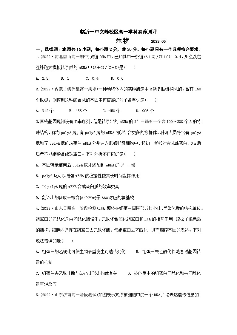2023临沂一中文峰校区高一下学期5月段考生物试题含答案01