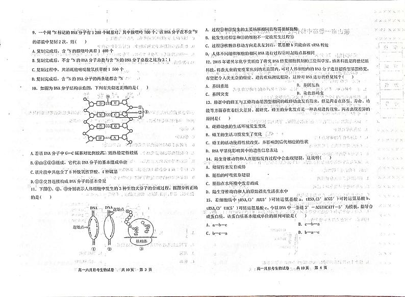 辽宁省鞍山市一般高中协作校2022-2023学年高一下学期6月月考生物试题第2页