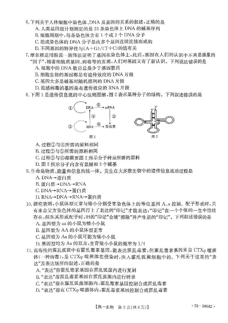 2023河南省部分名校高一下学期第三次月考生物试题扫描版含解析02