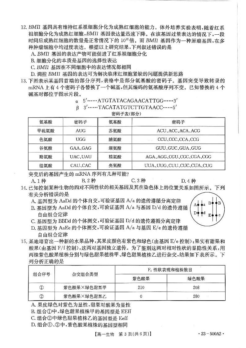 2023河南省部分名校高一下学期第三次月考生物试题扫描版含解析03