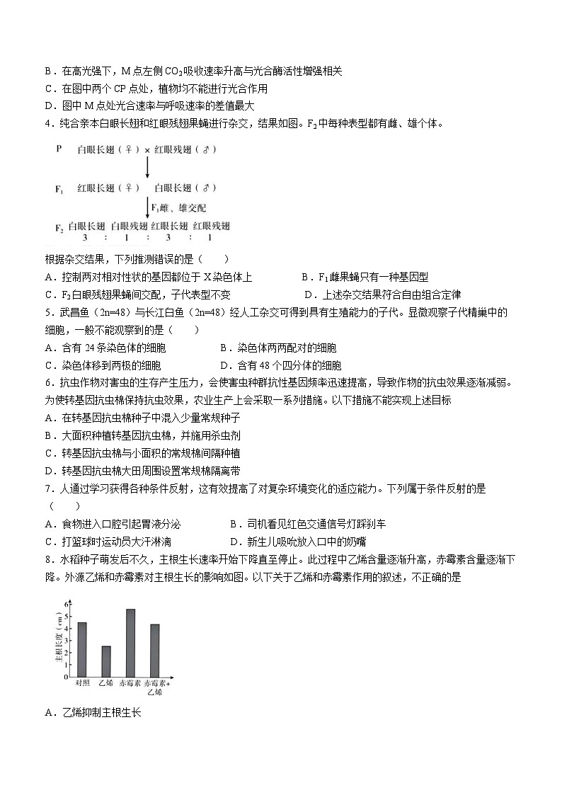 2023年新高考北京卷生物高考真题文档版（无答案）02