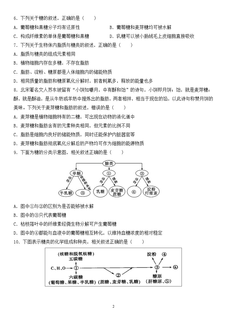 2.3《细胞中的糖类和脂质》同步练习第2页