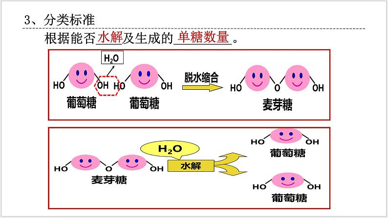 2.3《细胞中的糖类和脂质》第5页