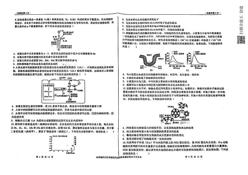 山东省淄博市第四中学2022-2023学年高二下学期期中考试生物试题02