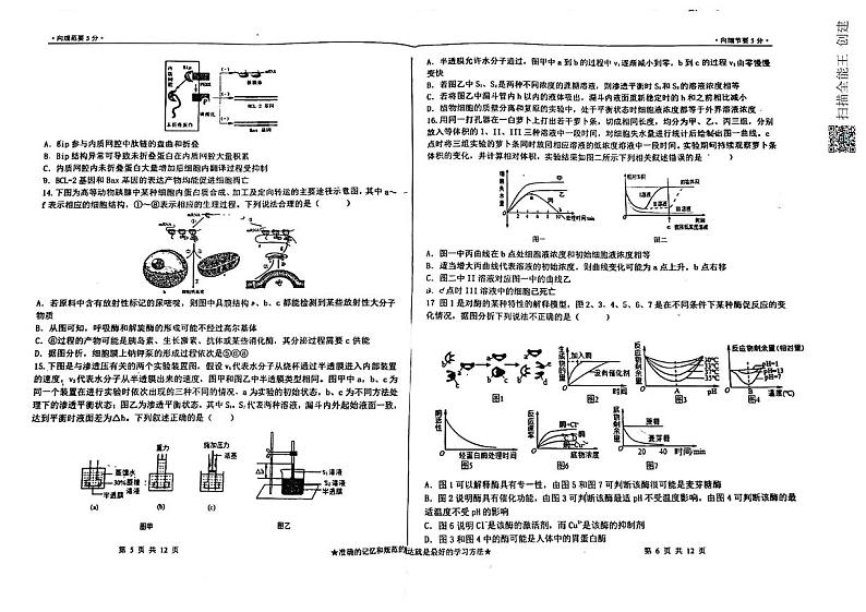 山东省淄博市第四中学2022-2023学年高二下学期期中考试生物试题03