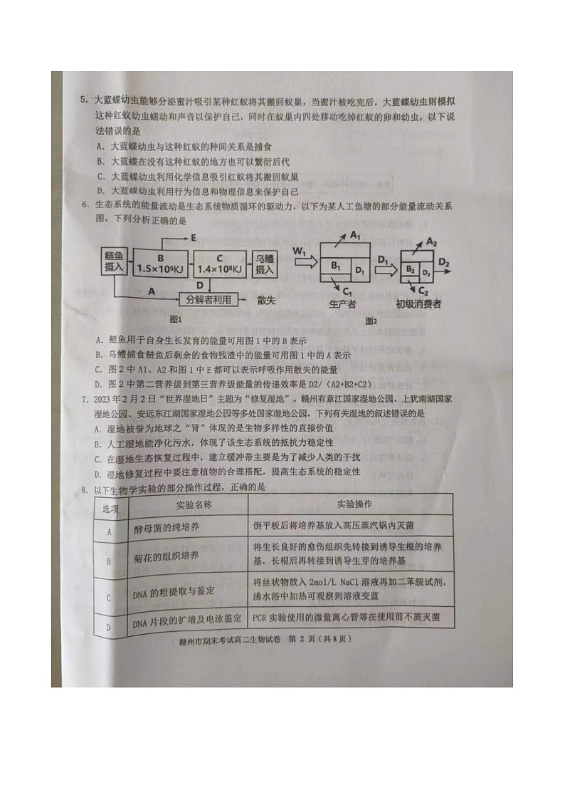 2022-2023下学期赣州市期末考试高二生物试卷02