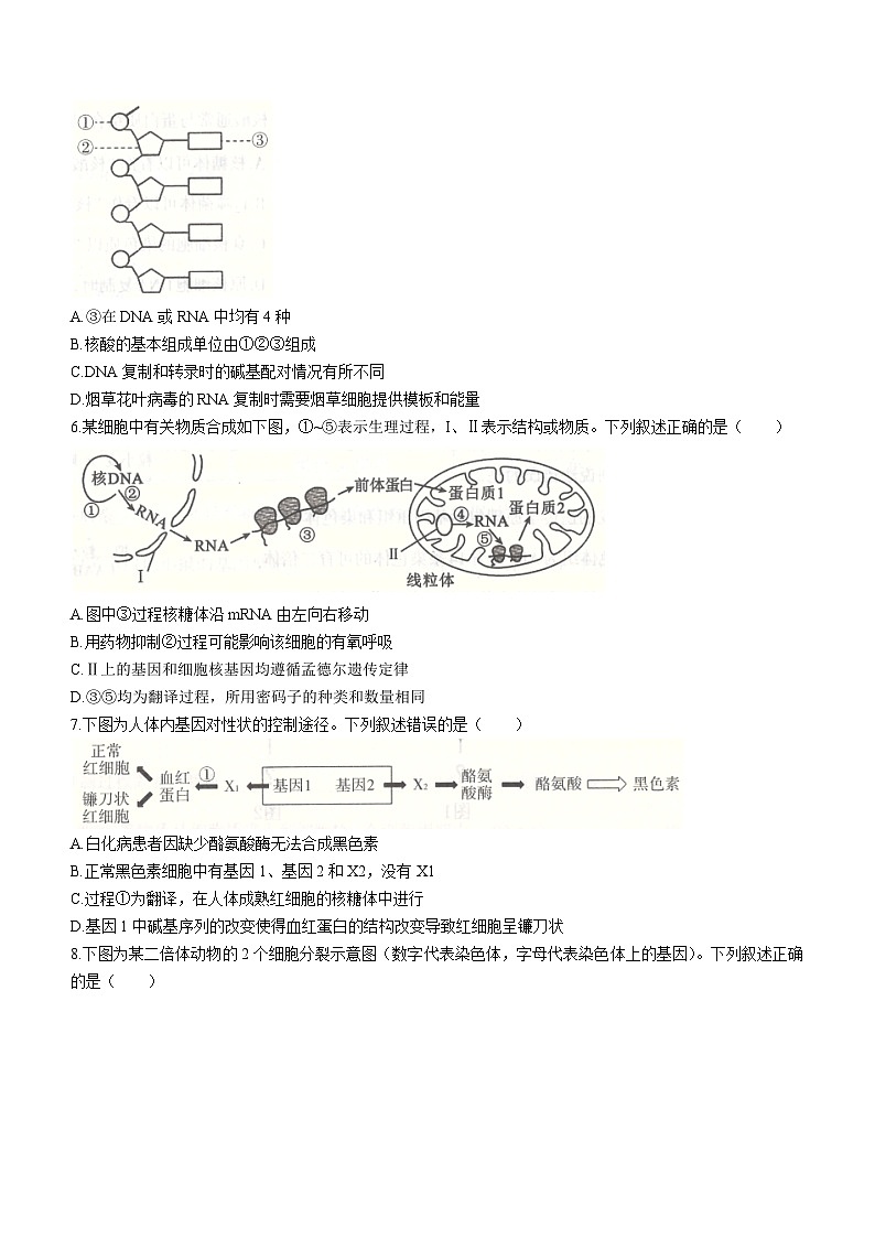 河北省石家庄市2022-2023学年高一下学期期末生物试题第2页