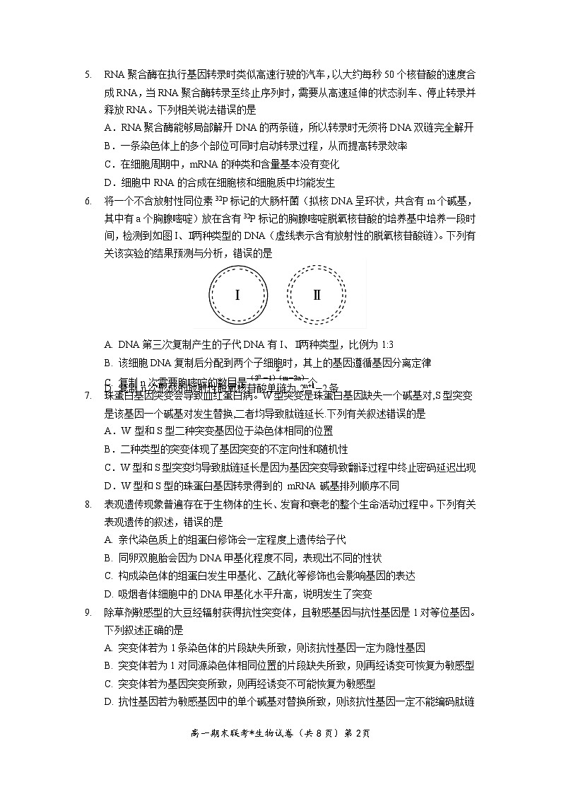 湖北省武汉市部分学校联合体2022-2023学年高一下学期期末联考生物试题第3页