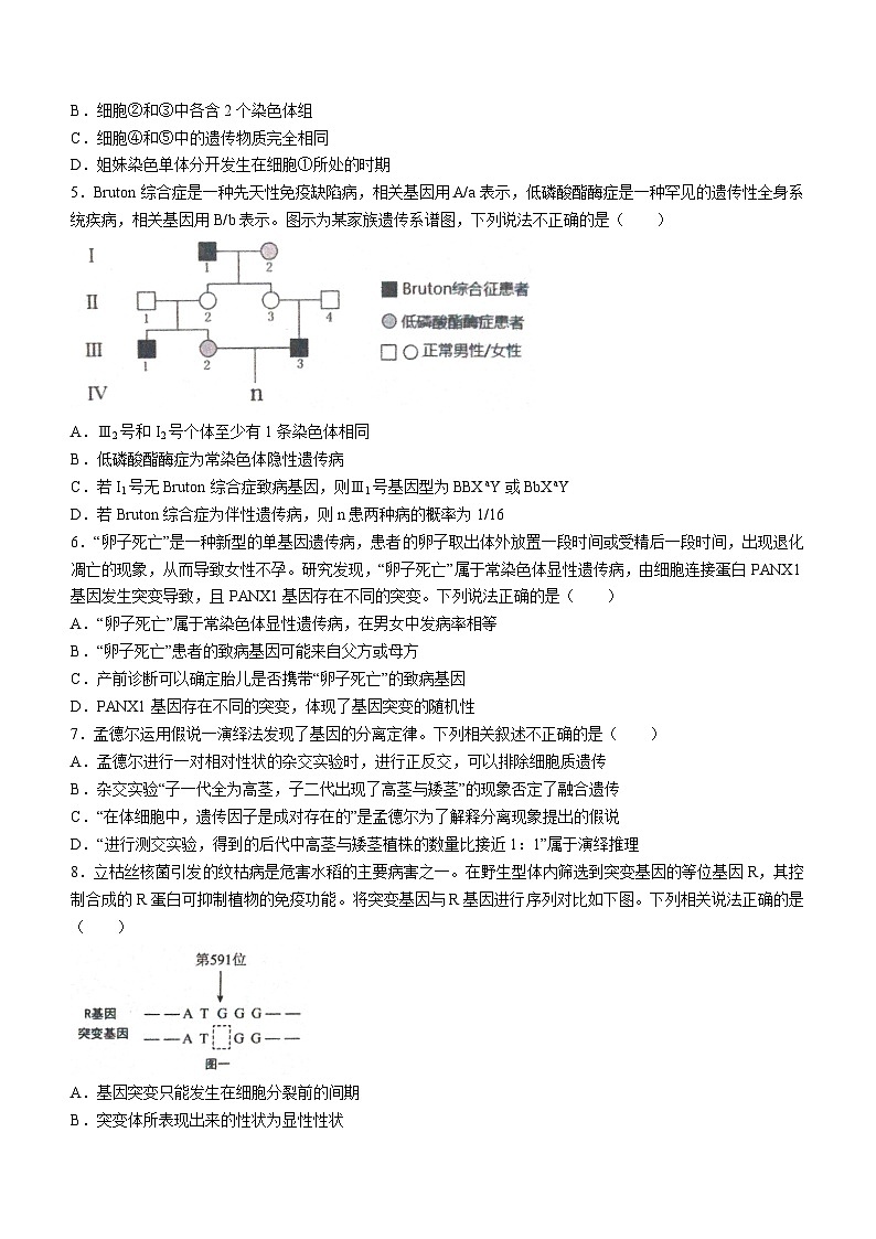 湖北省新高考联考协作体2022-2023学年高一下学期期末生物试题第2页
