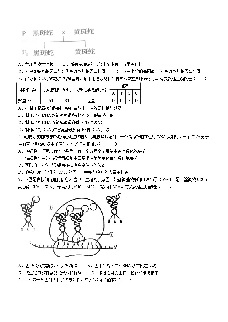 江苏省徐州市2022-2023高一下学期期末生物试题(无答案)02