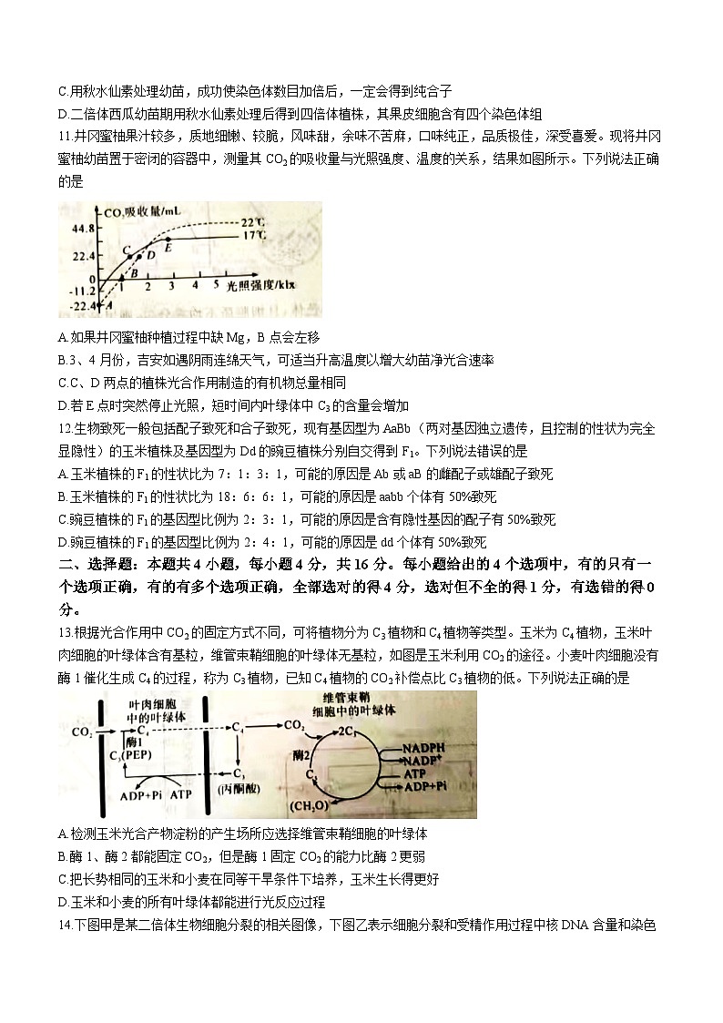 江西省吉安市2022-2023学年高一下学期期末生物试题(无答案)03
