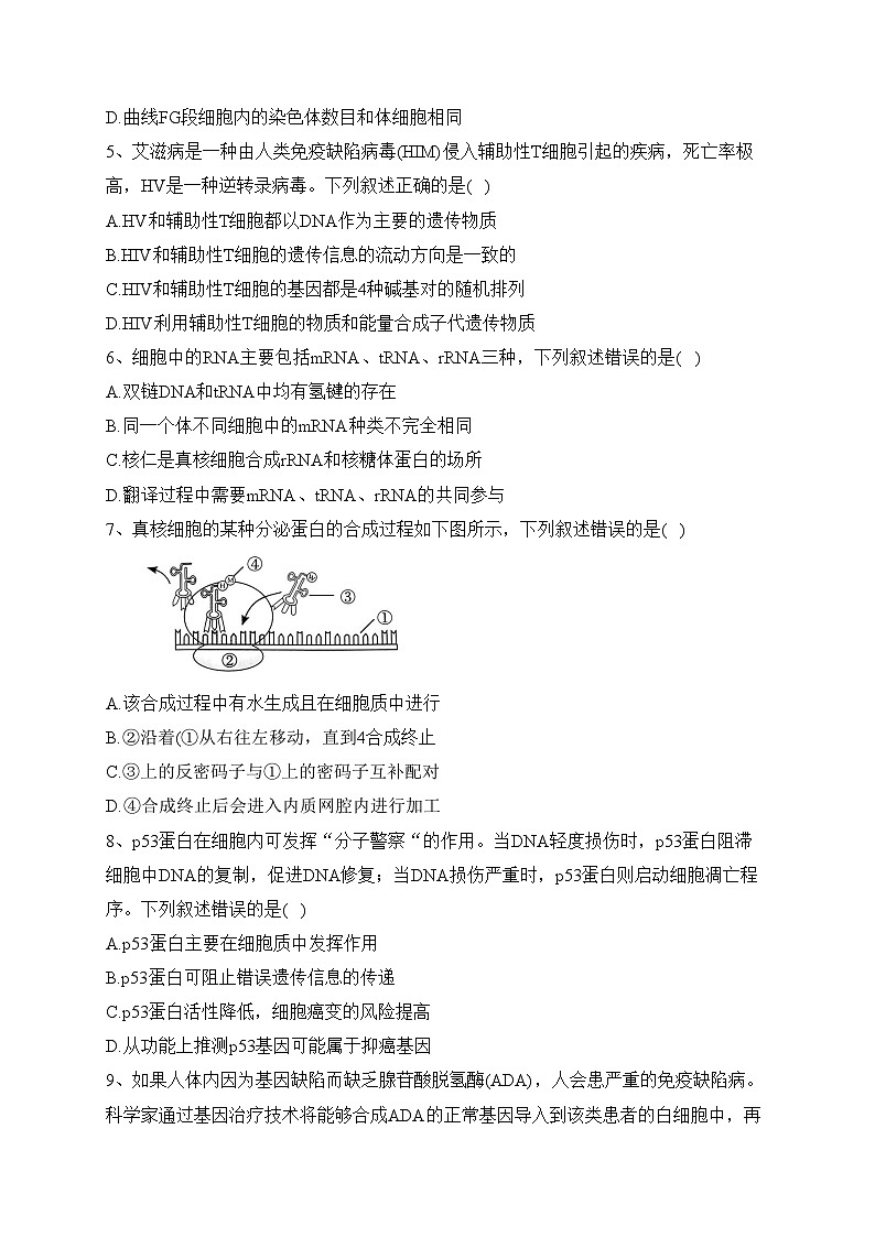 河南省2022-2023学年高一下学期6月大联考生物试卷（含答案）02