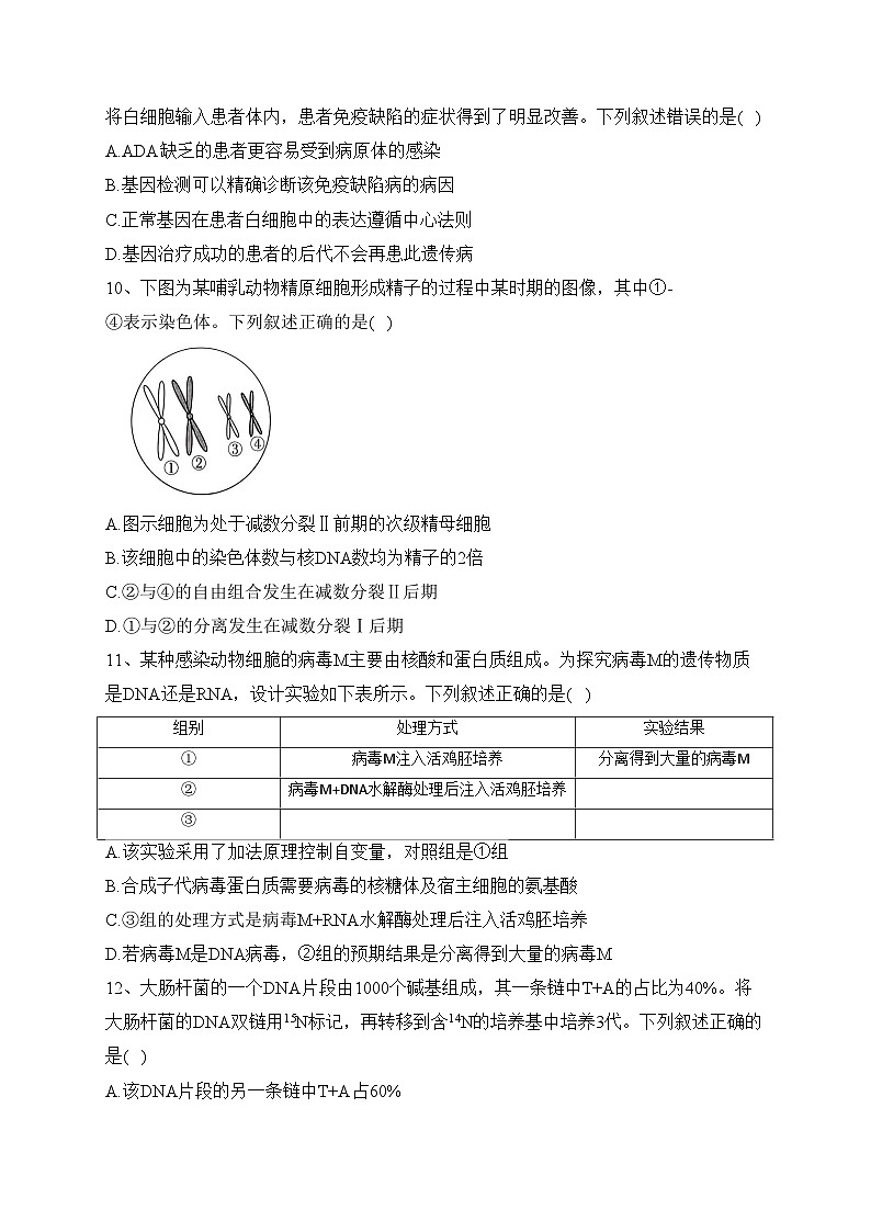 河南省2022-2023学年高一下学期6月大联考生物试卷（含答案）03