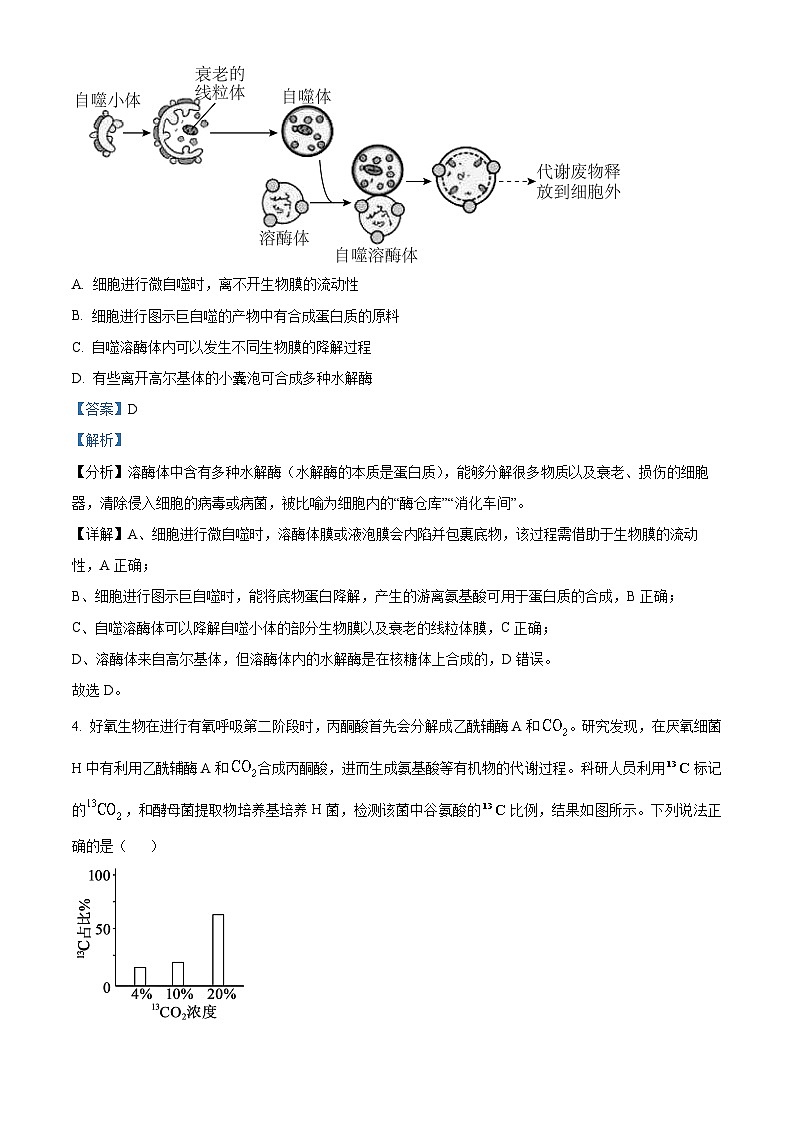 湖南省株洲市炎陵县2022-2023学年高一生物下学期6月期末试题（Word版附解析）第3页
