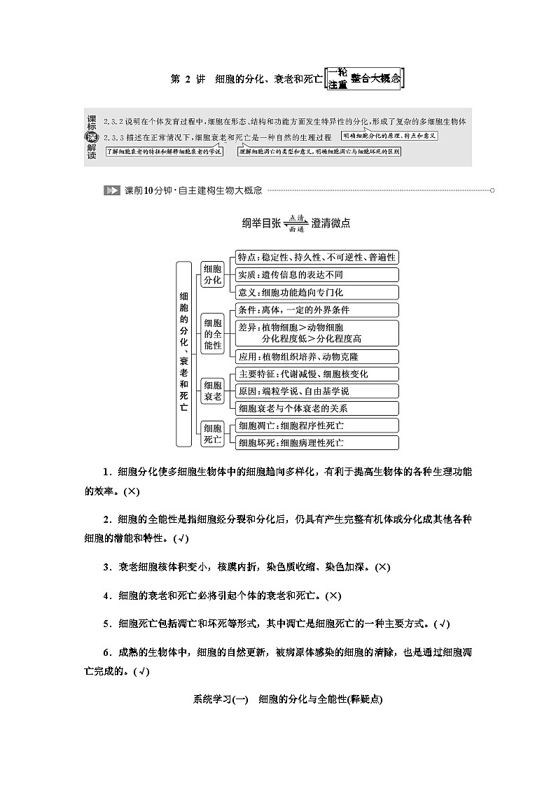 2024届人教版高考生物一轮复习细胞的分化、衰老和死亡_学案第1页