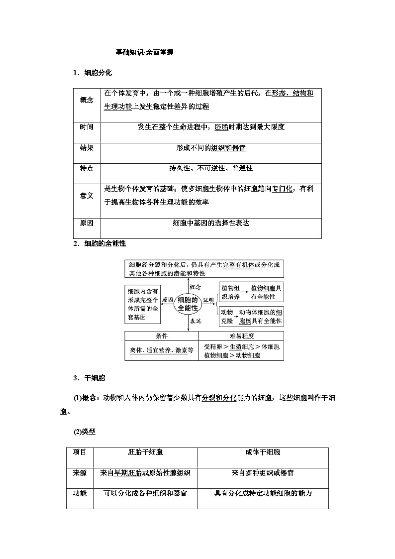 2024届人教版高考生物一轮复习细胞的分化、衰老和死亡_学案第2页
