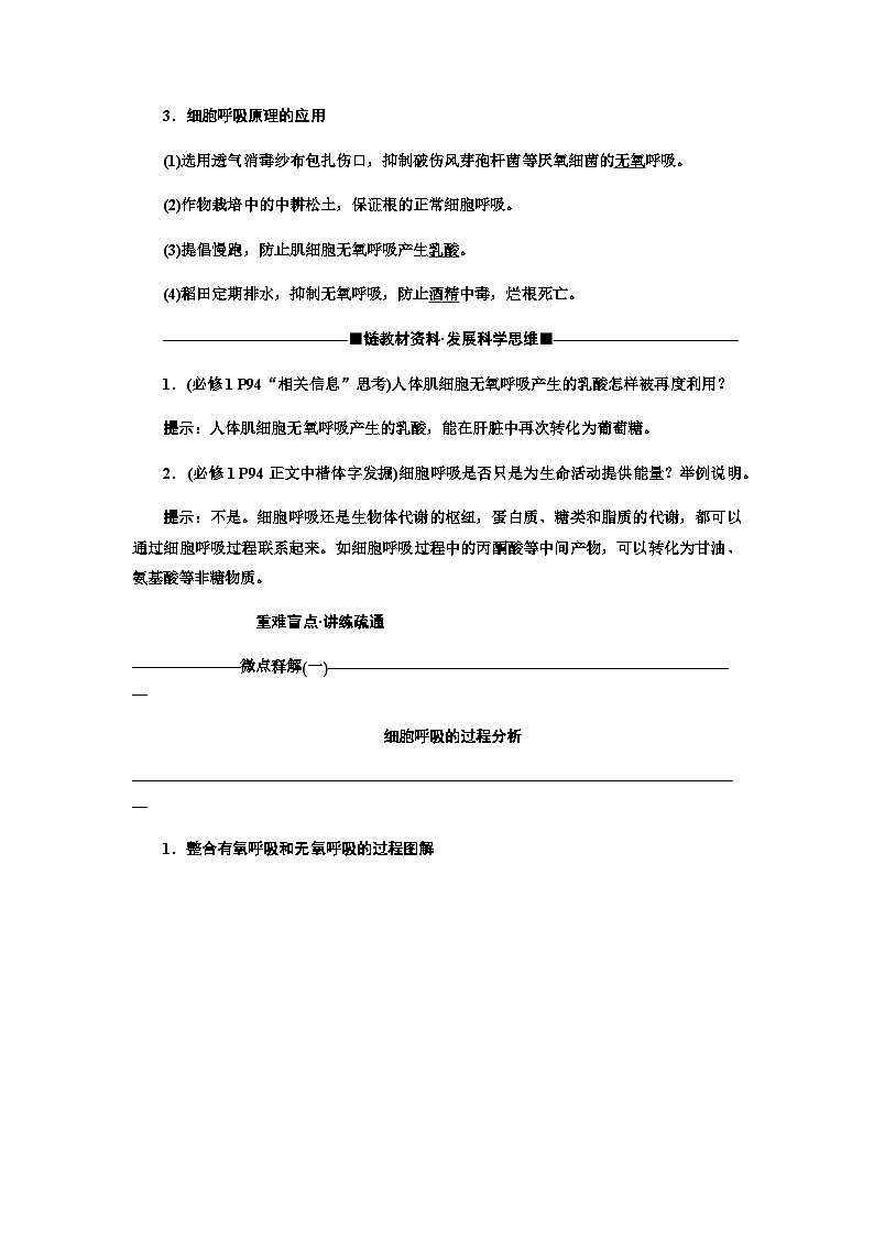 2024届人教版高考生物一轮复习细胞呼吸的原理和应用学案第3页