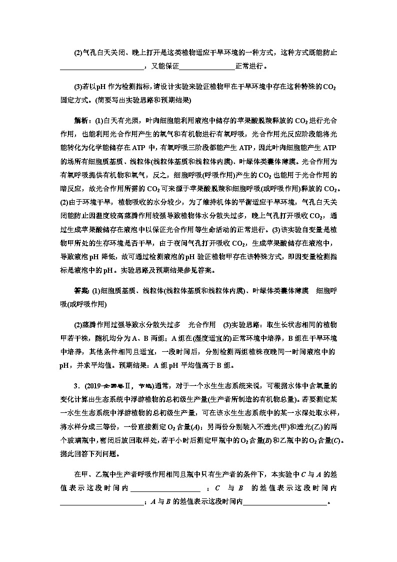 2024届人教版高考生物一轮复习细胞呼吸和光合作用的相关实验设计与分析学案第2页