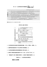 2024届人教版高考生物一轮复习生态系统的结构和能量流动学案