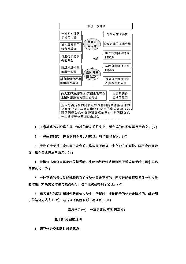 2024届人教版高考生物一轮复习孟德尔遗传定律的发现与内容学案第2页