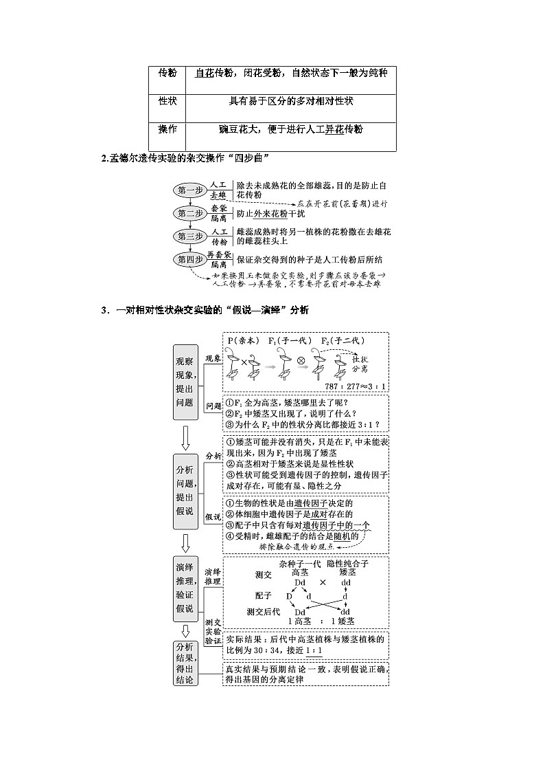 2024届人教版高考生物一轮复习孟德尔遗传定律的发现与内容学案第3页
