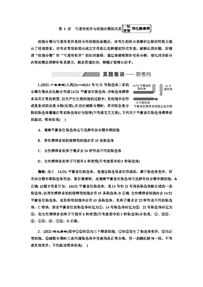 2024届人教版高考生物一轮复习可遗传变异与细胞分裂的关系学案01