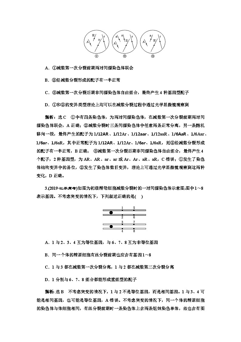 2024届人教版高考生物一轮复习可遗传变异与细胞分裂的关系学案02