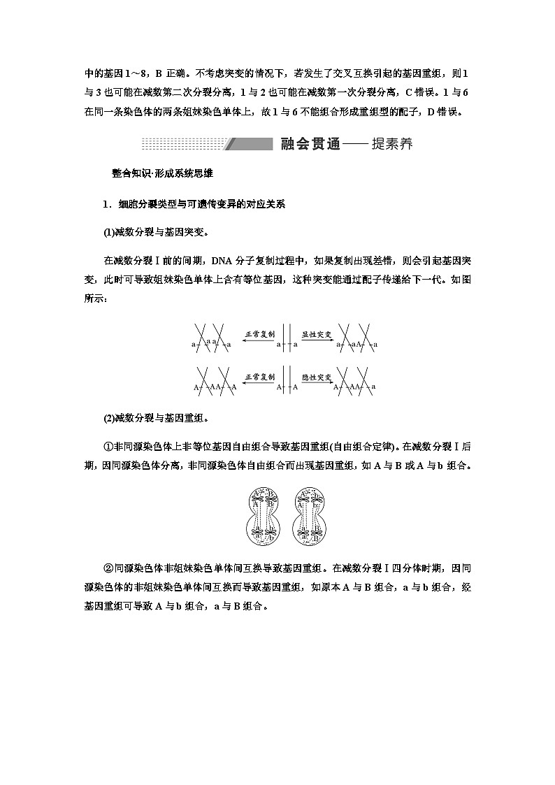 2024届人教版高考生物一轮复习可遗传变异与细胞分裂的关系学案03