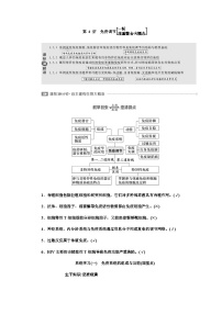 2024届人教版高考生物一轮复习免疫调节学案