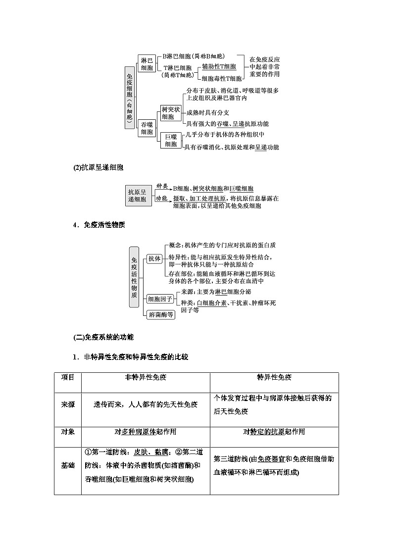 2024届人教版高考生物一轮复习免疫调节学案03