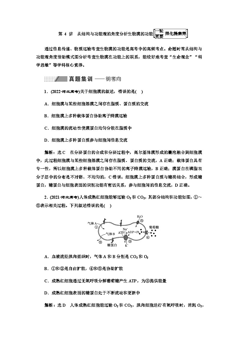 2024届人教版高考生物一轮复习从结构与功能观的角度分析生物膜的功能学案01