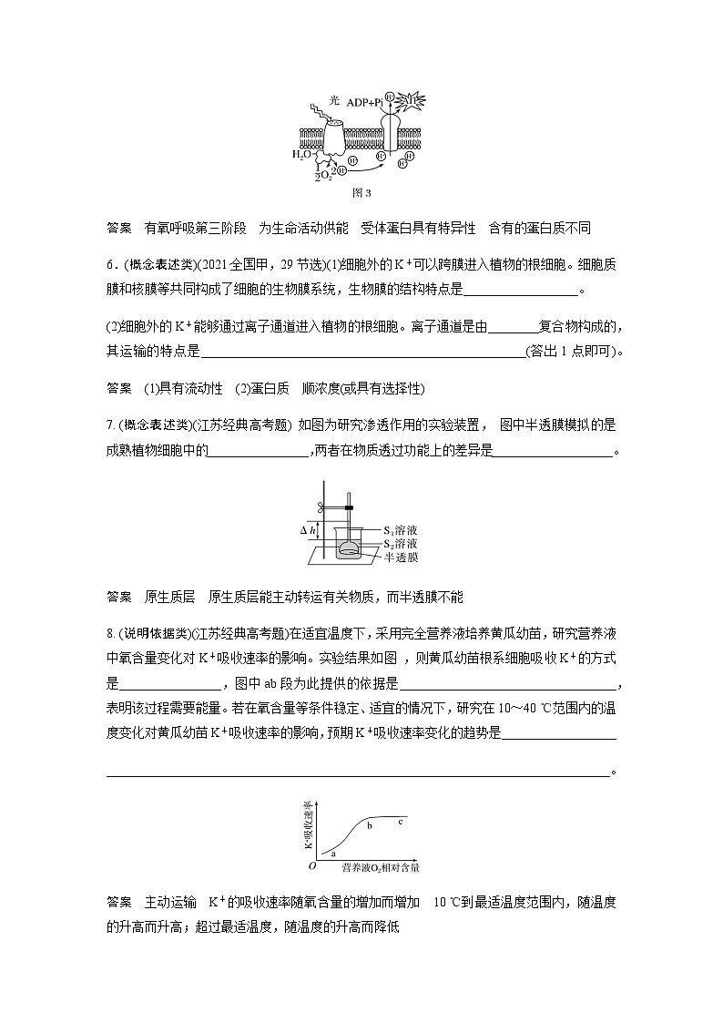 2024届苏教版高考生物一轮复习（一）与细胞有关的概念、特点和作用的描述学案第2页