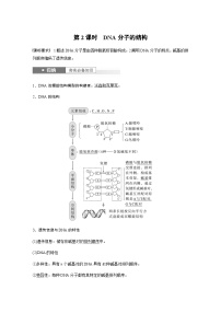 2024届苏教版高考生物一轮复习DNA分子的结构学案