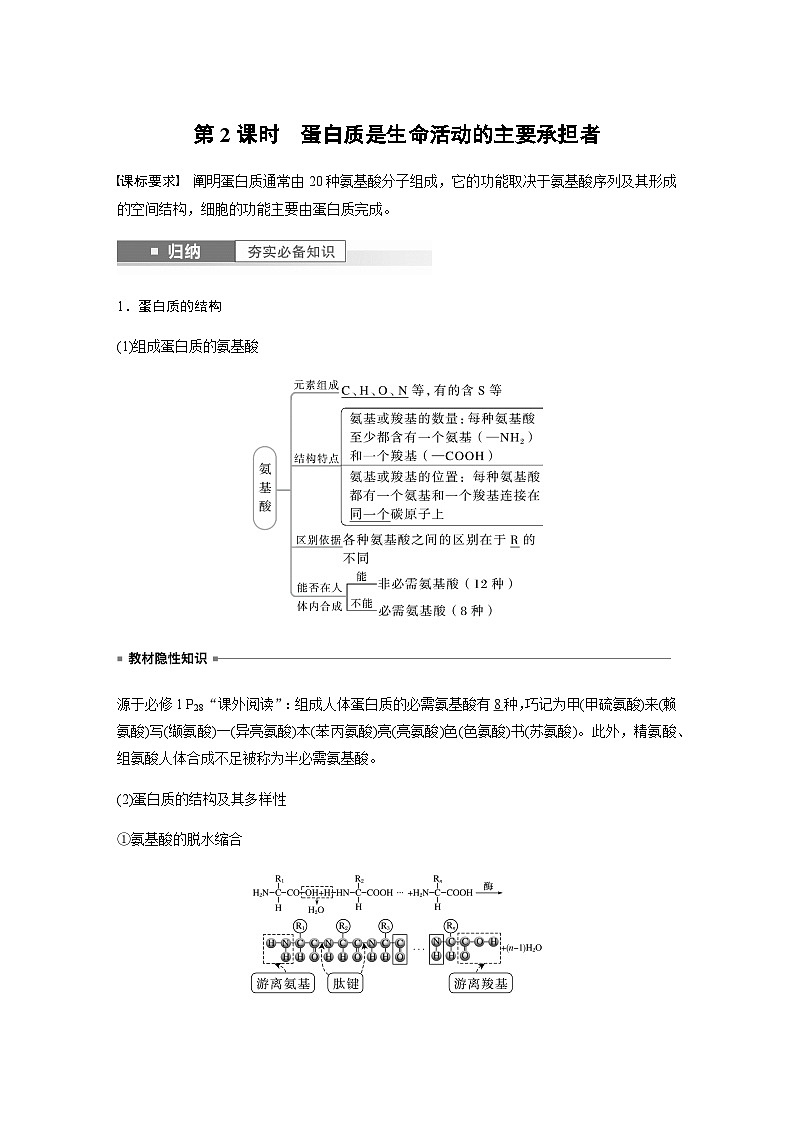 2024届苏教版高考生物一轮复习蛋白质是生命活动的主要承担者学案01