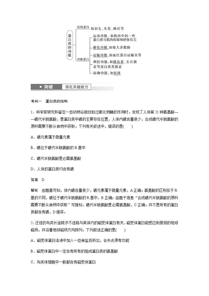 2024届苏教版高考生物一轮复习蛋白质是生命活动的主要承担者学案03