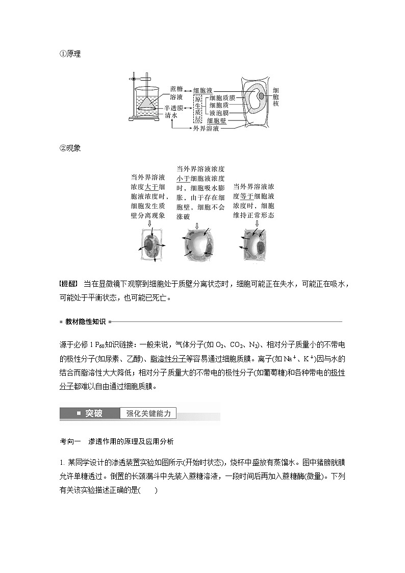 2024届苏教版高考生物一轮复习细胞质膜具有选择透过性学案03