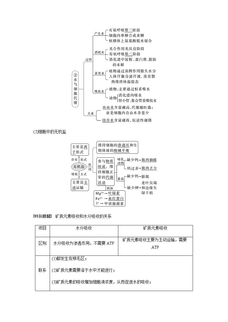 2024届苏教版高考生物一轮复习细胞中的无机物、糖类和脂质学案03