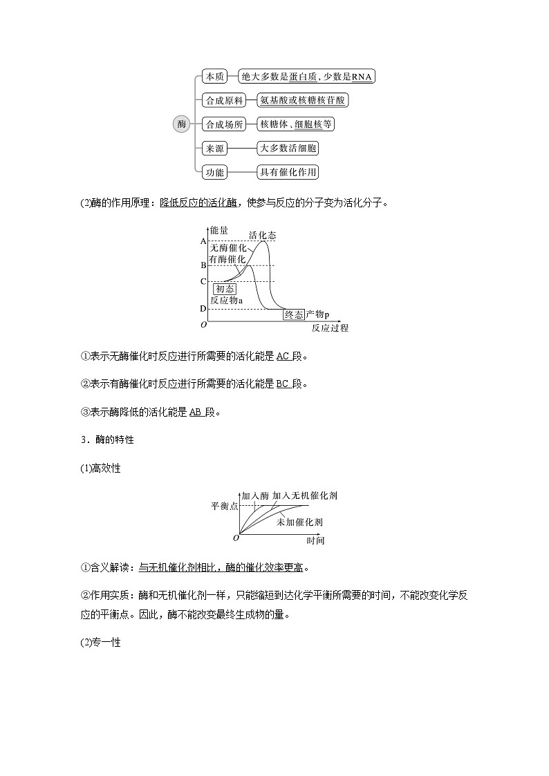 2024届苏教版高考生物一轮复习生物催化剂——酶学案02