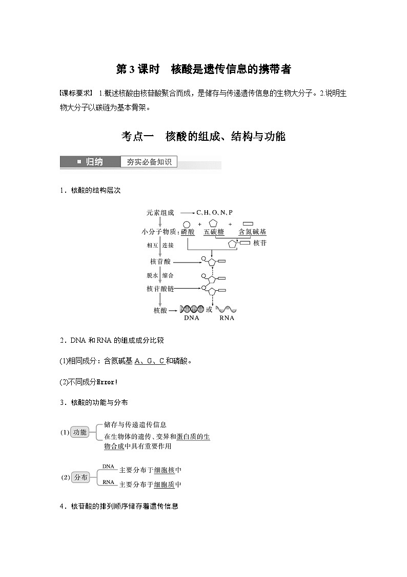2024届苏教版高考生物一轮复习核酸是遗传信息的携带者学案01