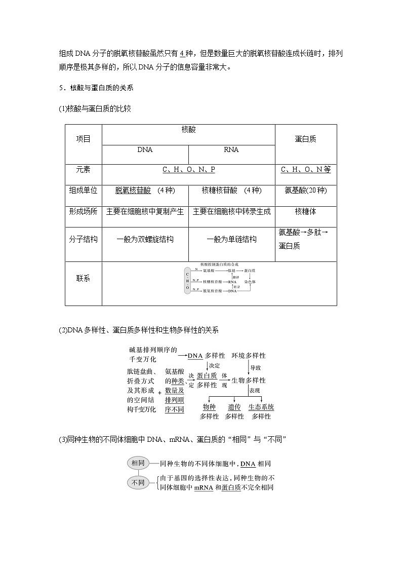 2024届苏教版高考生物一轮复习核酸是遗传信息的携带者学案02