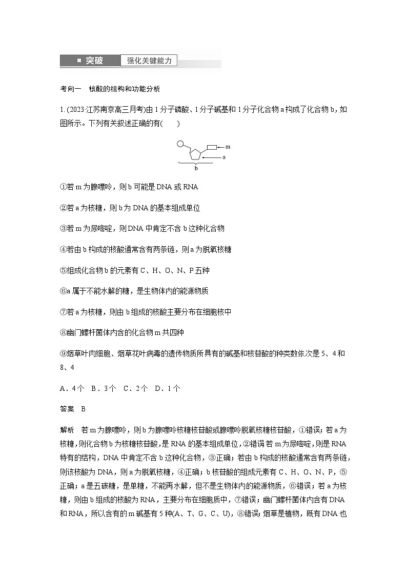 2024届苏教版高考生物一轮复习核酸是遗传信息的携带者学案03