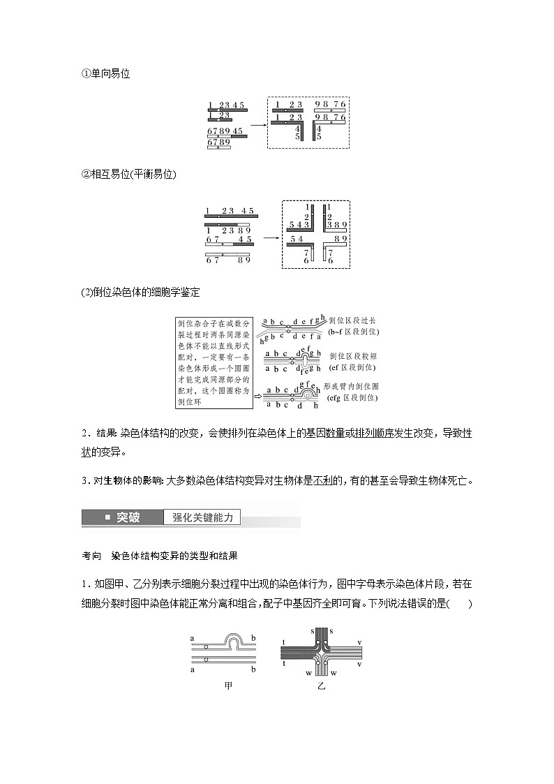 2024届苏教版高考生物一轮复习染色体变异学案第2页