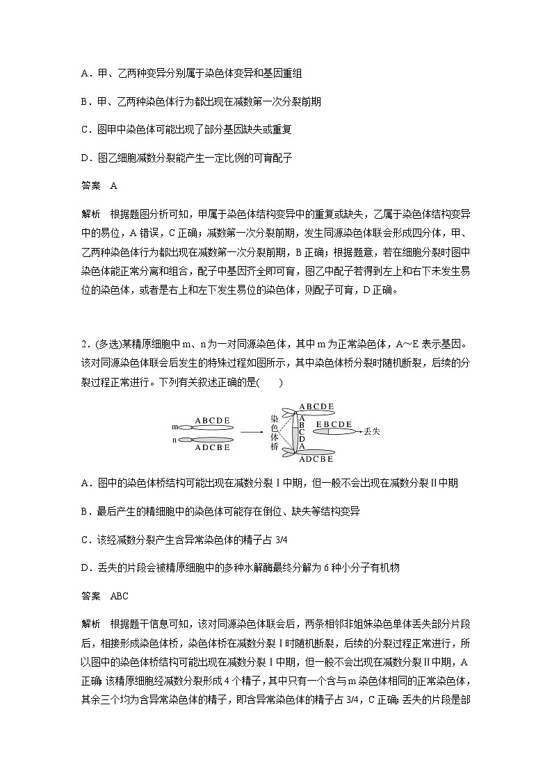 2024届苏教版高考生物一轮复习染色体变异学案第3页