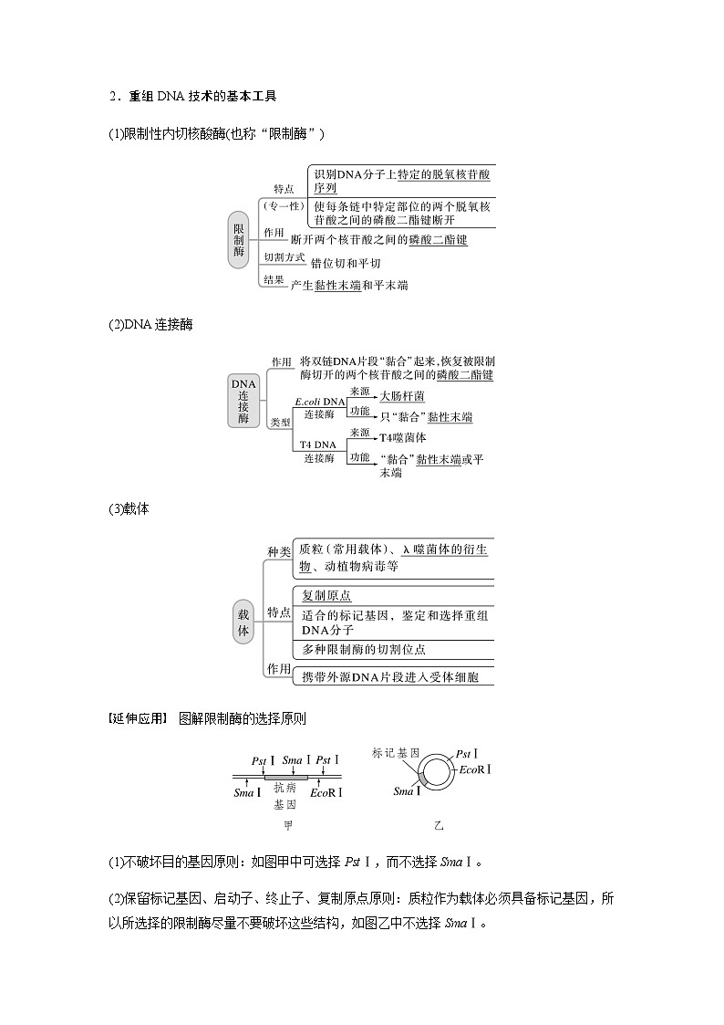 2024届苏教版高考生物一轮复习基因工程的基本工具和基本操作程序学案第2页