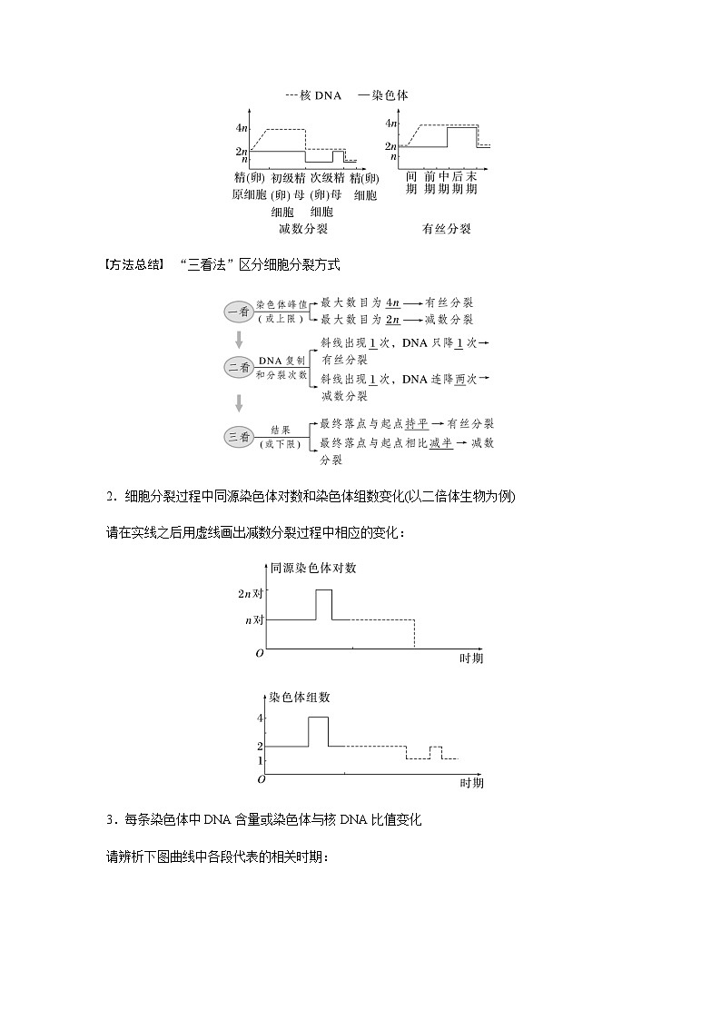 2024届苏教版高考生物一轮复习减数分裂与有丝分裂的比较以及观察植物细胞的减数分裂学案03