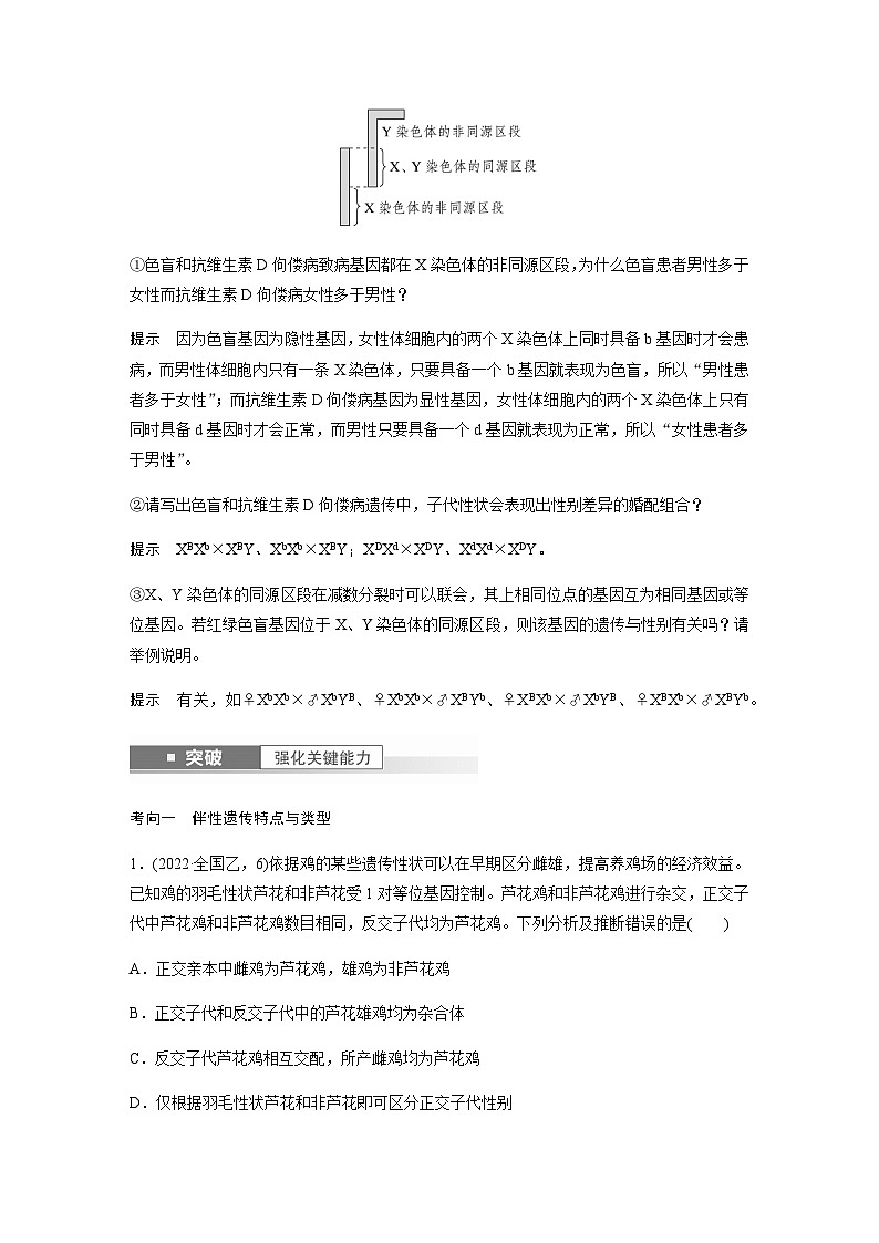 2024届苏教版高考生物一轮复习伴性遗传及人类遗传病学案02