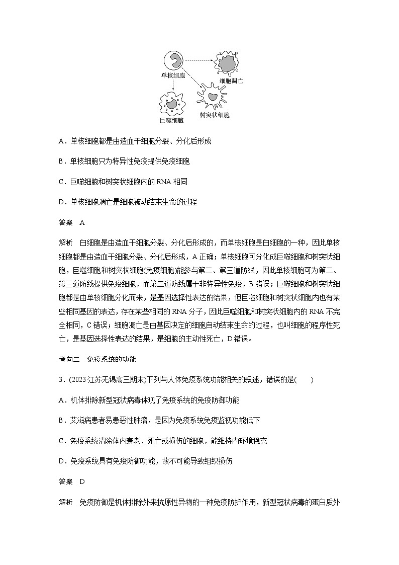 2024届苏教版高考生物一轮复习人体的免疫应答学案03