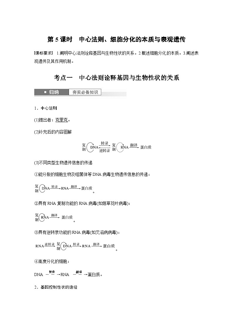 2024届苏教版高考生物一轮复习中心法则、细胞分化的本质与表观遗传学案01